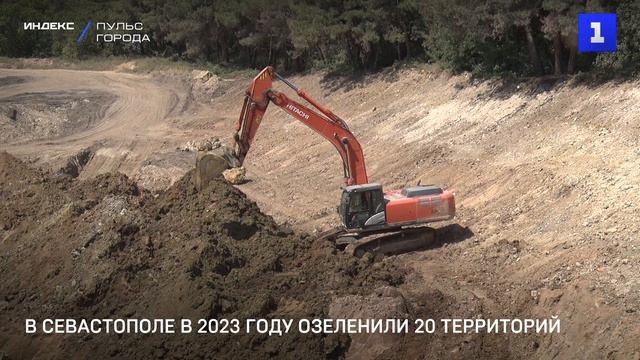В Севастополе в 2023 году озеленили 20 территорий