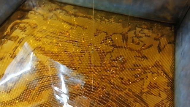 VID_20240726_134556.mp4