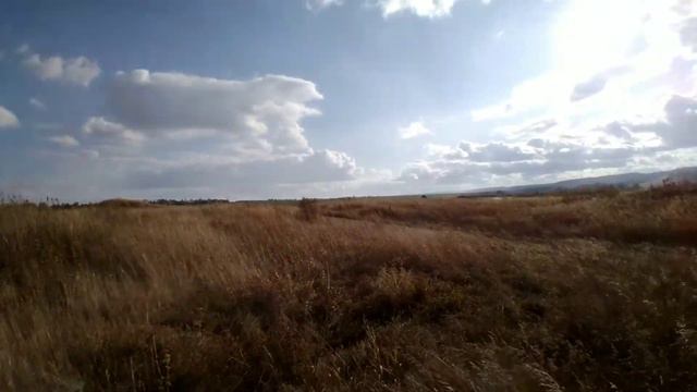 ГДЕ МНОГО МЕТАЛЛА/КОП 2020/ФЕРМА ИЛИ ПОВЕЗЛО