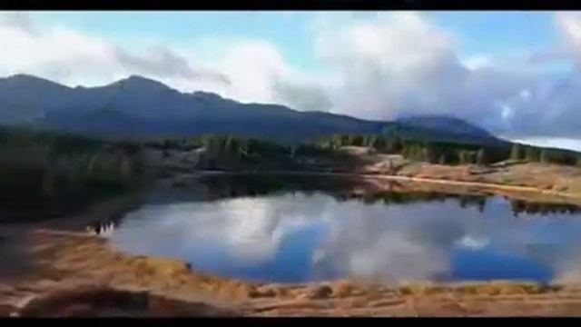 Прошловековый человек