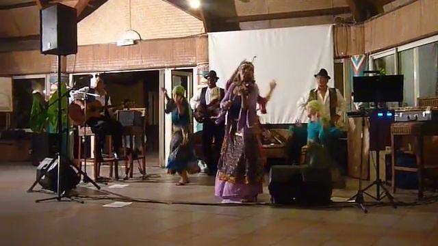 VERDINE Violon tzigane  en concert