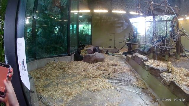 Artis Zoo, Amsterdam