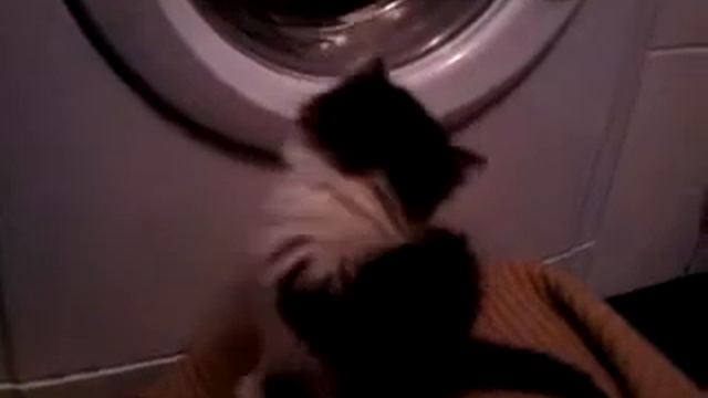 Я следующий в очереди.....Рагамаффин.