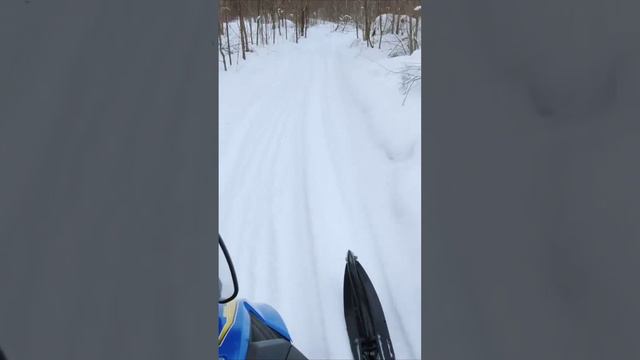 Снегоход эндуро Сталкер. Езда по пересеченной местности с прыжками.