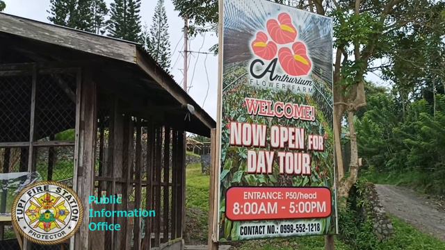 Enjoying Work with Anthurium Flower Farm