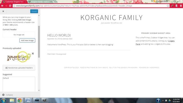 How to Set Up a Custom Logo Header Banner in WordPress Website Blog