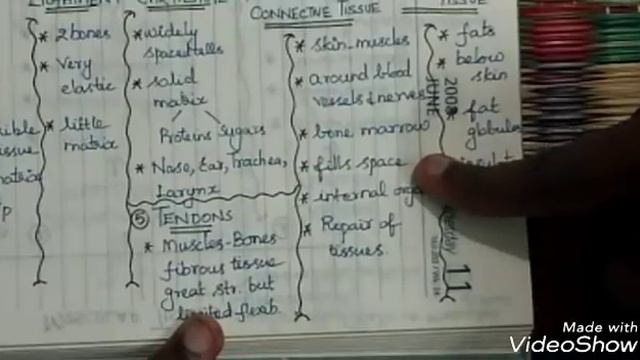 Lec 88 - RRB JE/NTPC - GENERAL SCIENCE - BIOLOGY - ANIMAL TISSUES | CBT 1