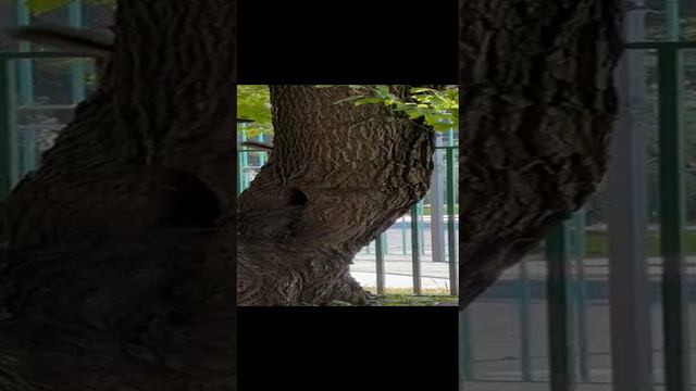 1000011170.mp4