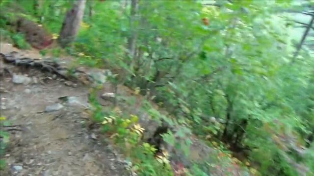 Возвращение с горы Ставри Кая , заблудился среди трех сосен Ялта природа Район поляна сказок Крым