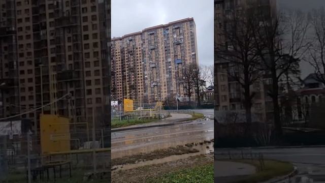 Почему бы не построить дом?