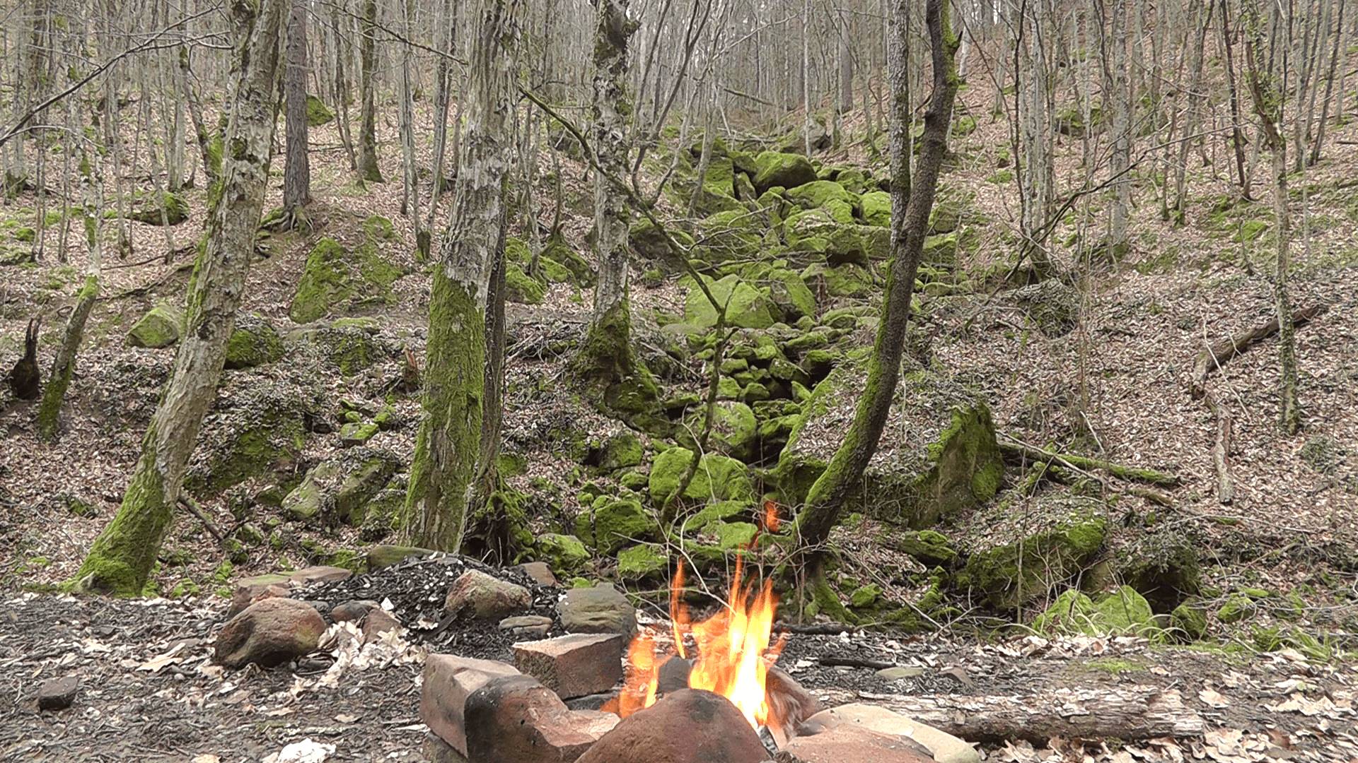 Звуки природы: В лесу у костра. Расслабляющая музыка для медитации и отдыха