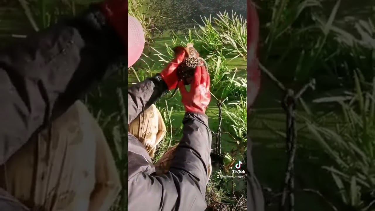 на поисковый магнит. что это?