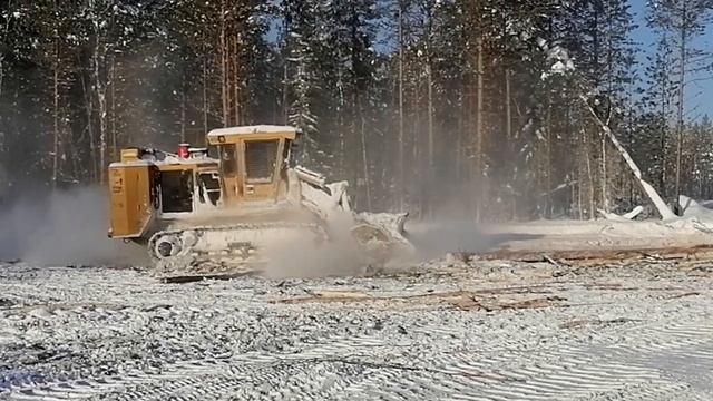 Гусеничный мульчер Tigercat 480. Mulcher Tigercat 480.