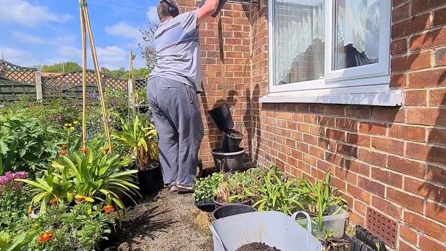 How To Plant Up Vertical Planter With Petunias