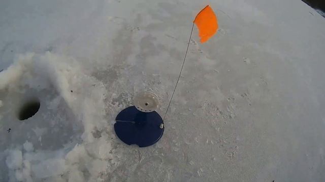 ЗИМНЯЯ РЫБАЛКА 2023. РЫБАЛКА НА ЖЕРЛИЦЫ. ЩУКА РАДУЕТ ПОКЛЁВКАМИ.