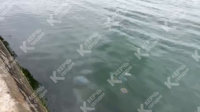 Керчь: странные пятна в воде на набережной