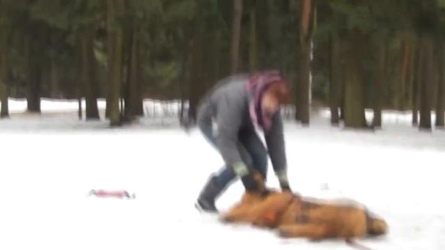 Немного трюков