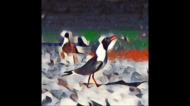 Origami Repetika - Singing Gulls Full Album