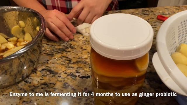 How to make Ginger extract or syrup, preserving and uses by Ommaskitchen