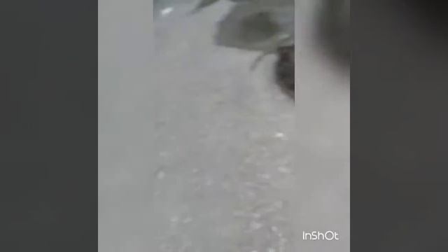 Проверка камеры на прочность.