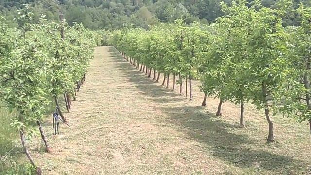 Villager trimer BC 1250 XC - iskustva nakon 4 godine rada