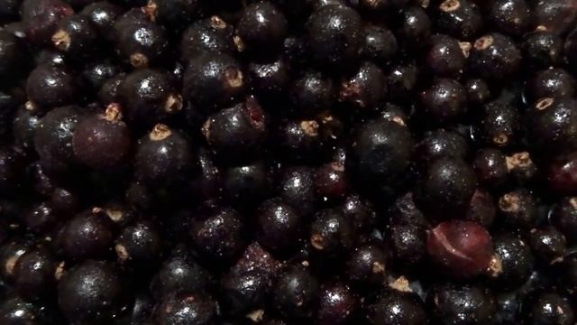 Черная смородина Полезные свойства черной смородины Самые полезные продукты