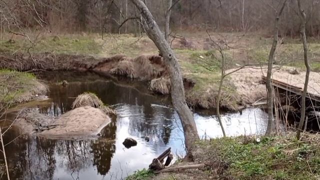 Этюд 20.04.2023. Окрестности села Федоскино