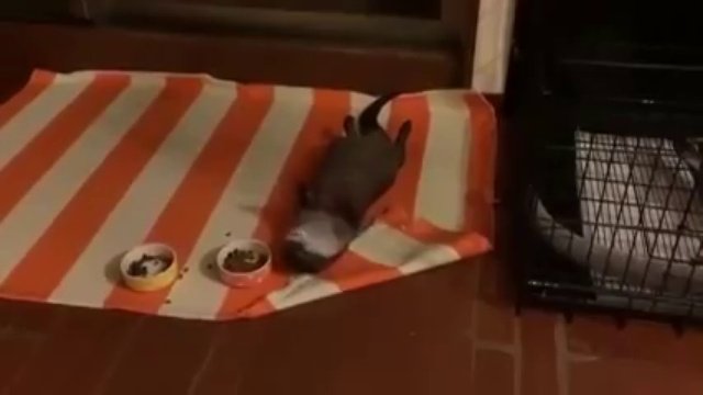 А мне и так удобно