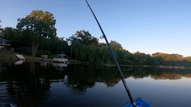 Gulp Alive 3" Black Shad + Jawbone Minnow Jig = Fishing Fun! #eyelovefishing #gulp #jawbone