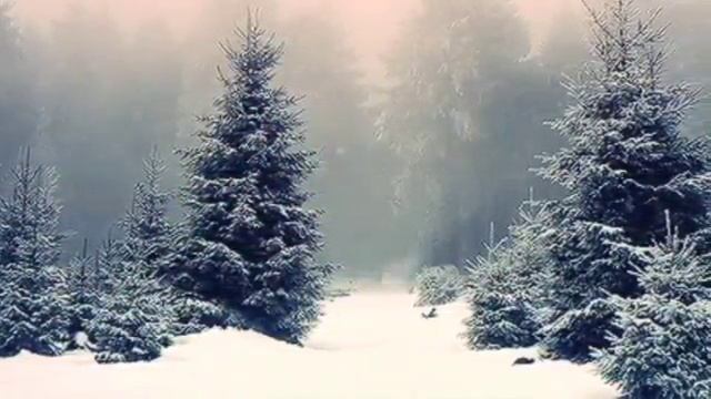 "Вальс - забвение"