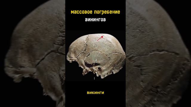 Массовое погребение викингов!                              #shortvideo #новости #топ #история
