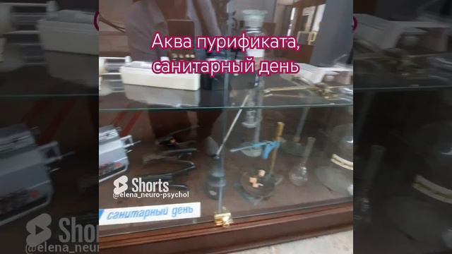 Волшебный шкаф в гомеопатической аптеке на Невском | #моипутешествия #питер #невский