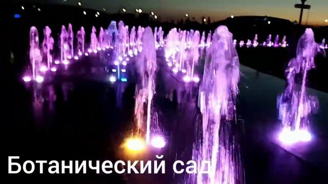 Вечерняя прогулка в Ботаническом саду