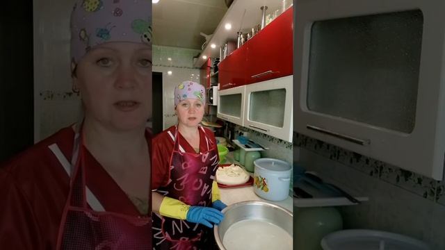 Делаем сыр Моцарелла в домашних условиях. Рецепт сыра Моцарелла.