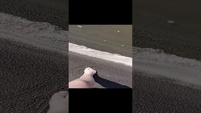 VID_20230731_140008.mp4
