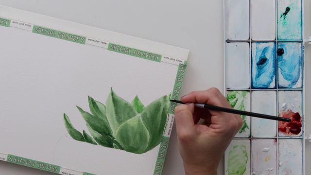 Watercolor SUCCULENT painting - easy step by step plant painting video + FREE SKETCH