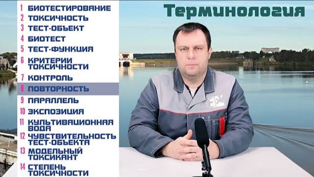 Терминология