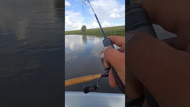 мормышинг видео для комментаторов очередной МОНСТР рвёт плетёнку