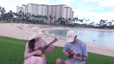 Aloha Oe Hawaiian song アロハ・オエ(ハワイ民謡) ウクレレ
