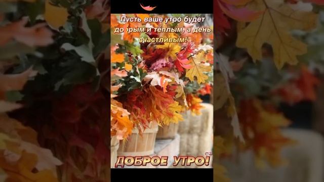 ? Доброе осенние утро ? Хорошего дня ?