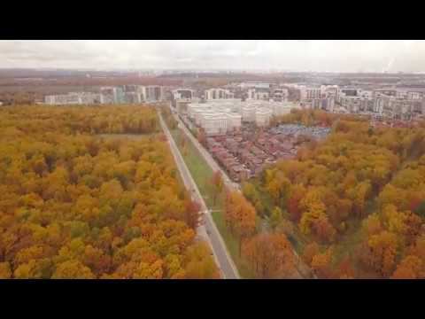 Золотая осень в Новой Москве. 06.10.2019