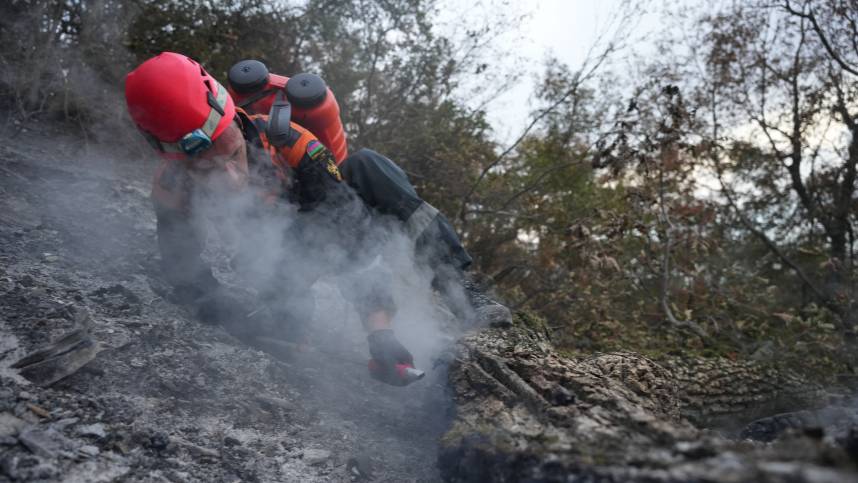 Встречный пал и авиация: как идет борьба с лесными пожарами в Якутии