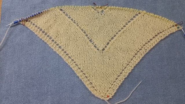 СП Триостарты2022 Декабрь Старт 3 с @svknit / Бактус из козьего пуха