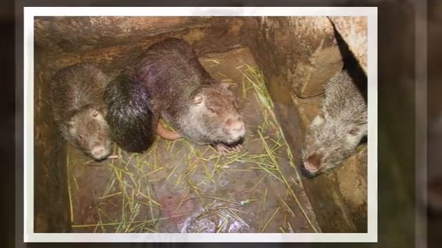 15.06.14   5-летие стационарного реабцентра "Новое время" (Днепродзержинск, Украина)