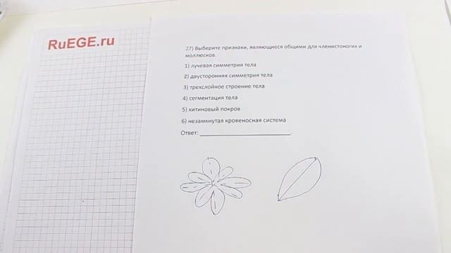 Решение демоверсии ЕГЭ по биологии 2016 | Задание 27. [Подготовка к ЕГЭ (RuEGE.ru)]