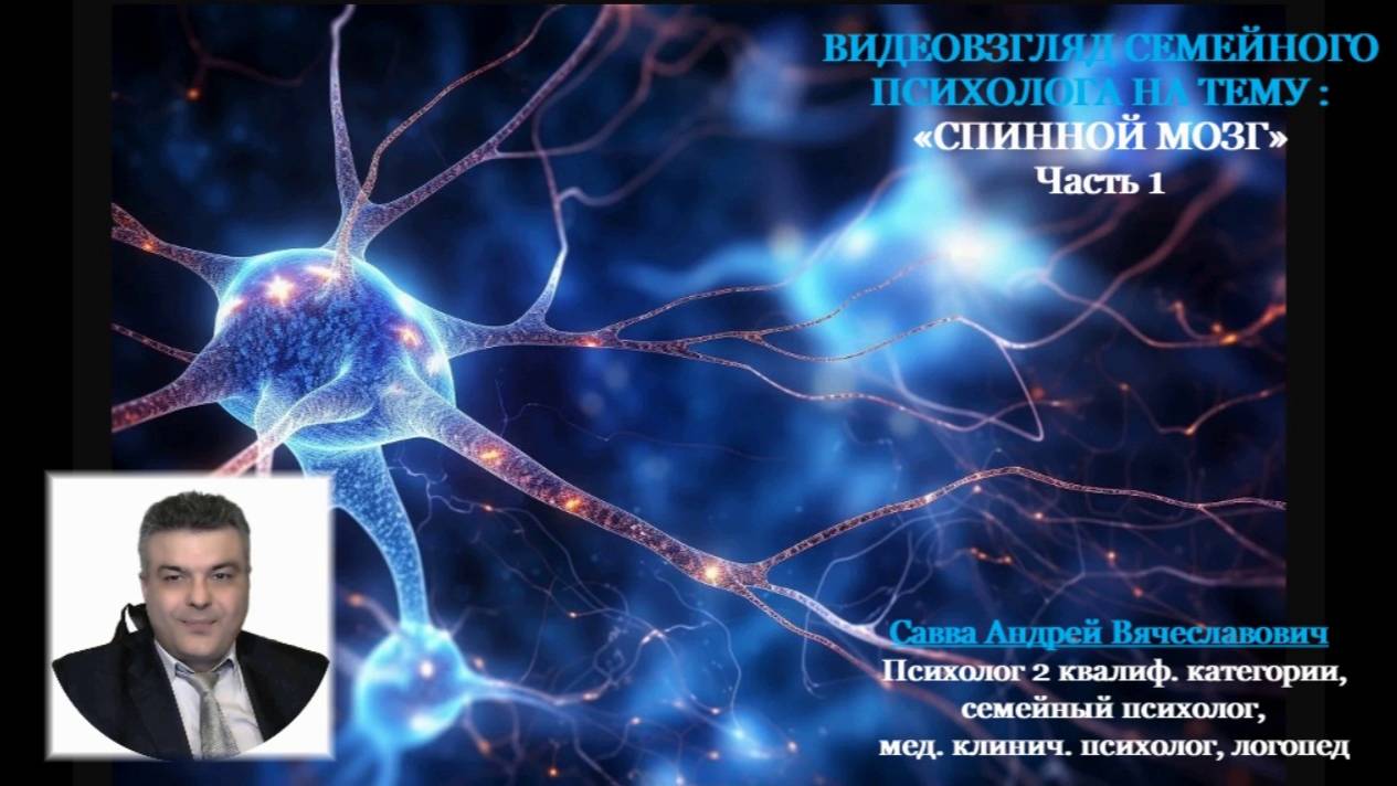 Видеовзгляд медицинского психолога на тему «Спинной мозг».ч.1.