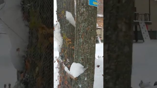 снежная фигура заяц