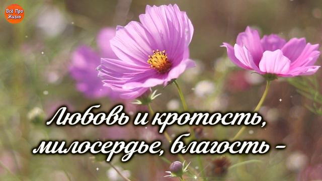Доброе Утро! Давайте Жить Без Злобы и Без Зависти! Красивая Музыкальная Открытка с Добрым Утром!