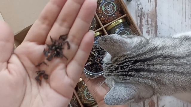Распаковка и обзор покупок с Вайлдберриз💜