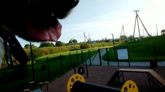 Video.Guru_20240820_191013084.mp4